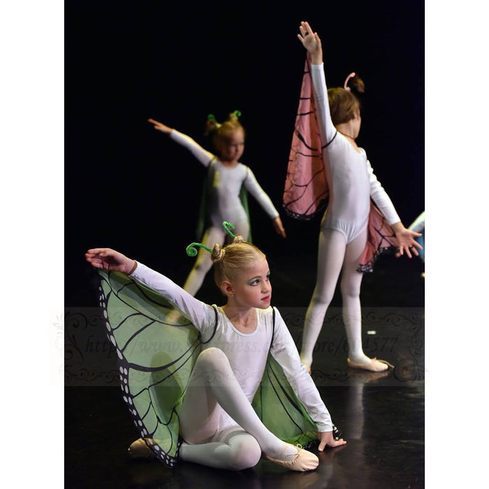 אביזרים לפרפר